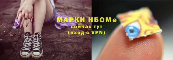 a pvp Бородино