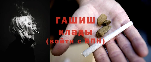 a pvp Бородино