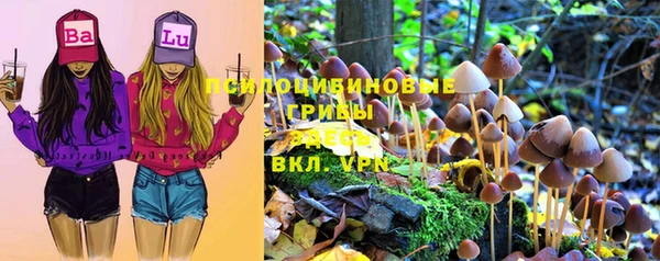 винт Бугульма
