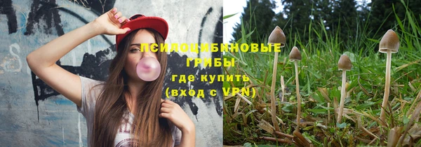 apvp Бронницы