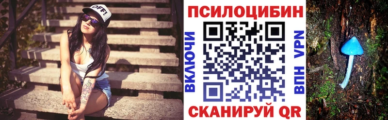 купить  цена  Нижний Новгород  Галлюциногенные грибы Magic Shrooms 